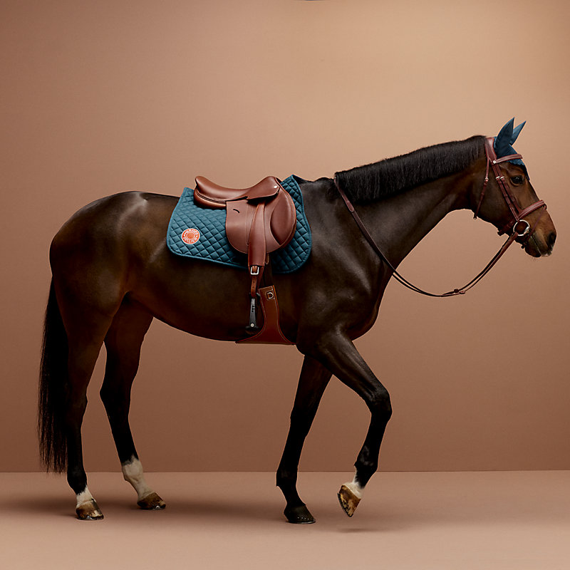 Fly bonnet