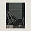 View: Folded, H Passant scarf