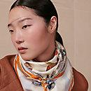 View: Worn, Hermès Parade scarf 90