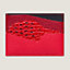View: front, Histoire Naturelle card holder