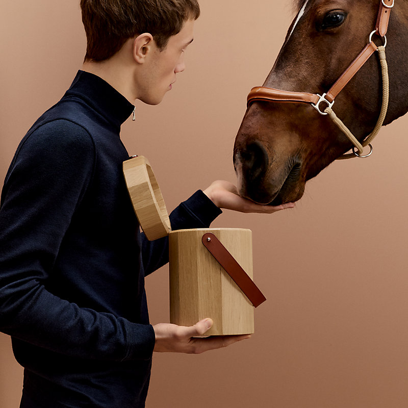 Horse treat box, large model