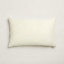View: Back, Index Palmarum pillow