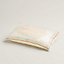View: front, Index Palmarum pillow