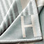 View: Detail, Ithaque blanket