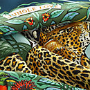 View: Detail, Jungle Love forever scarf 90