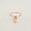 View: front, Kelly Clochette ring, small model