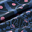 View: Detail, view 7 of 7