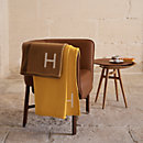 View: Worn, Les Necessaires d'Hermes "cabriolet" chair.