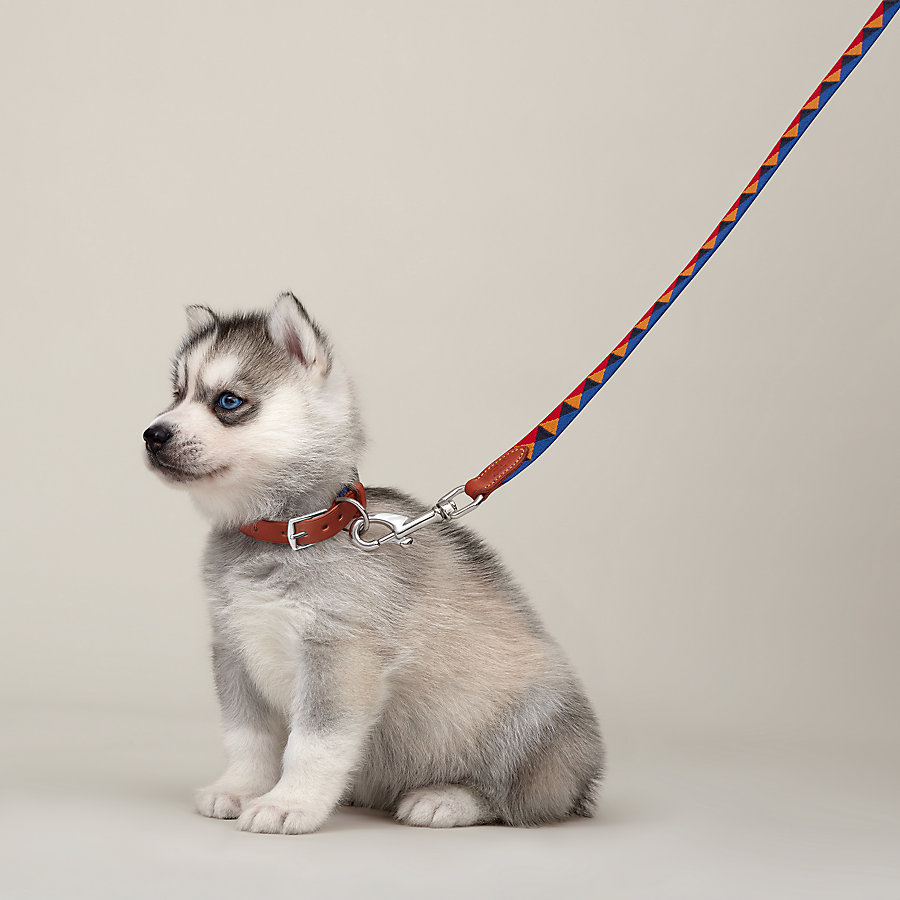 Medor slim dog leash