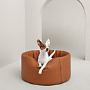 View: Worn, Patapouf dog bed, medium model