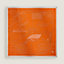 View: Back, Petit Duc double face scarf 90