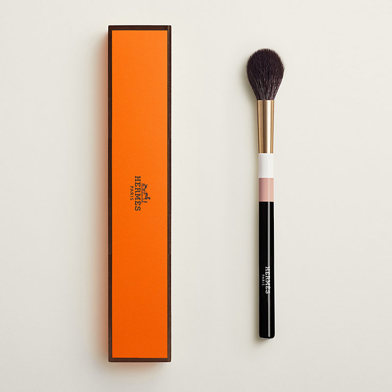 Precision makeup brush, le Precis