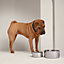 Punch dog bowl, large model, view 2 of 4