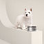 Punch dog bowl, small model, view 1 of 3