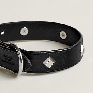 Patent leather best sale dog collar