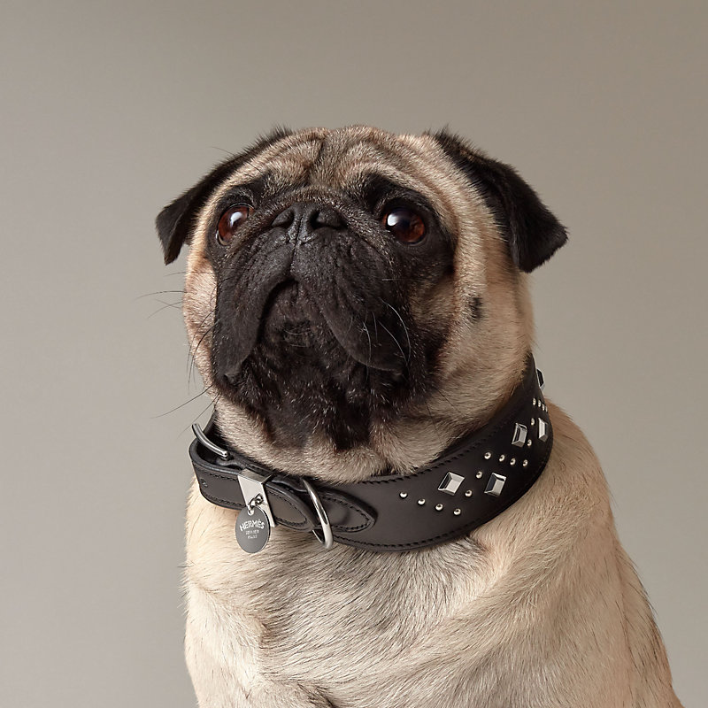 Punch dog collar  Hermès Mainland China