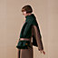 View: Worn, Rayee H stole