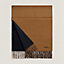 View: Worn, Recto-Verso scarf