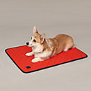 View: Worn, Reversible dog mat