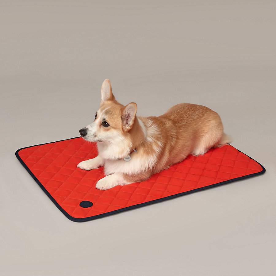 Reversible dog mat