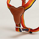 View: Detail, Rocabar dog harness