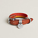 View: front, Rocabar III dog collar