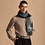 View: Worn, Rocabar scarf
