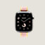 视图: 正面图, Series 10表盘 & Apple Watch Hermès 42毫米单圈Twill Jump Attelage表带