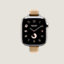 视图: 正面图, Series 10表盘 & Apple Watch Hermès 42毫米单圈Twill Jump Attelage表带