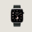 视图: 正面图, Series 10表盘 & Apple Watch Hermès 42毫米单圈表带