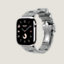 视图: 侧面图, Series 10表盘 & Apple Watch Hermès 46毫米单圈Kilim折叠扣表带