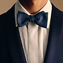 View: Worn, Terre d'H bow tie