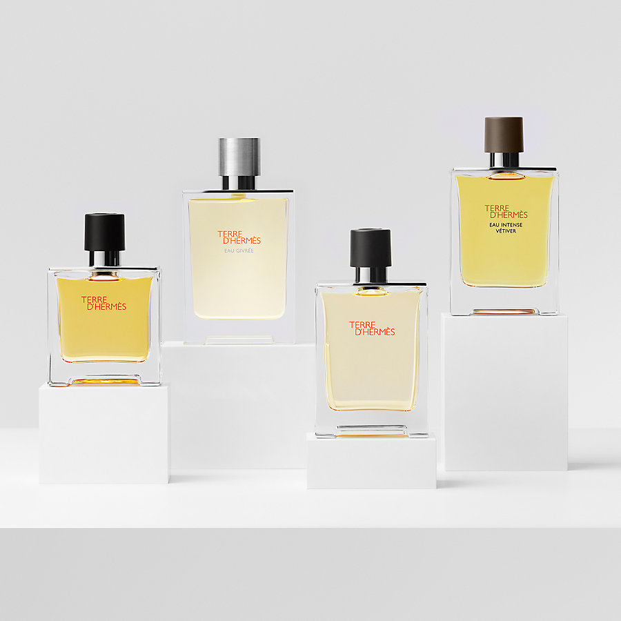 Terre d'Hermes Eau de toilette