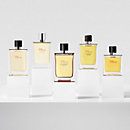 View: Worn, Terre d'Hermes Eau de toilette