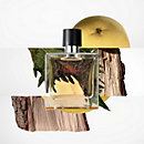 View: Worn, Terre d'Hermes Eau de toilette