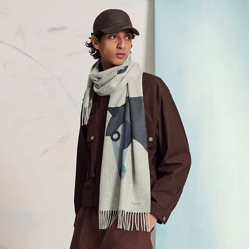 Theoreme d'Equithagore scarf