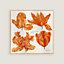 Tulipomanie Detail scarf 45, view 1 of 4