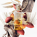 View: Worn, Un Jardin a Cythere Eau de toilette