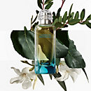 View: Worn, Un Jardin en Mediterranee Eau de toilette